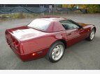 Thumbnail Photo 23 for 1993 Chevrolet Corvette